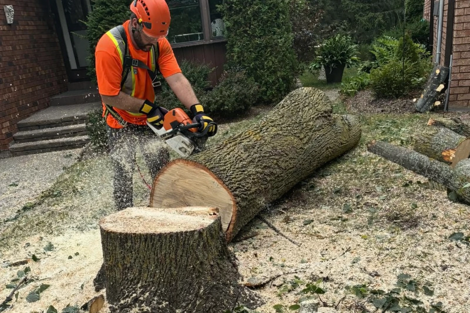 Arborist tree removal job on a residential property in Alliston completed by Arborize Ltd.